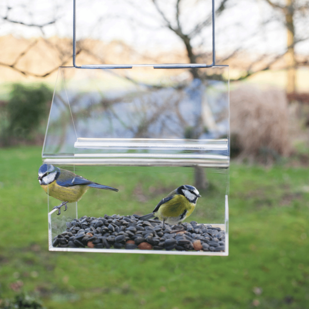 Fuglefoderhus | Akrylglas | L14.5xD15.1xH15.3 cm