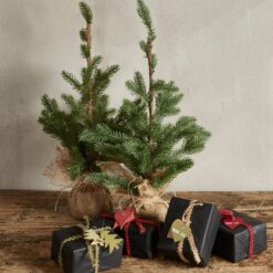 20 Hjerte Gavemærker Til Jul | Natur | Fletkurven.dk